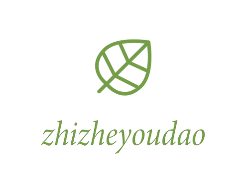zhizheyoudao